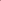 Peony - 3Pc Solid