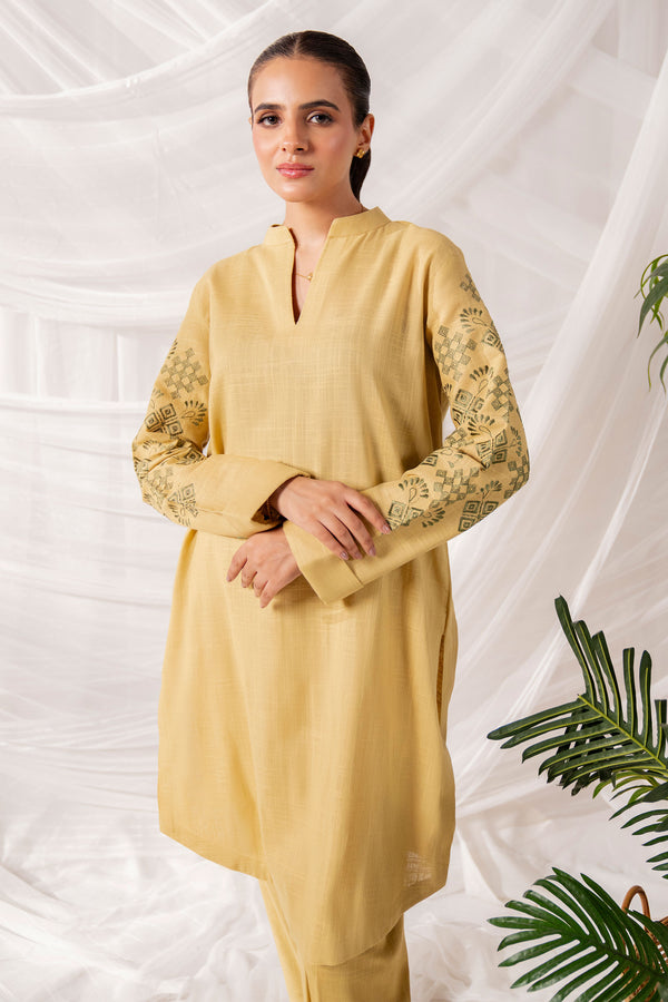 Vedat - 2Pc Embroidered Khaddar