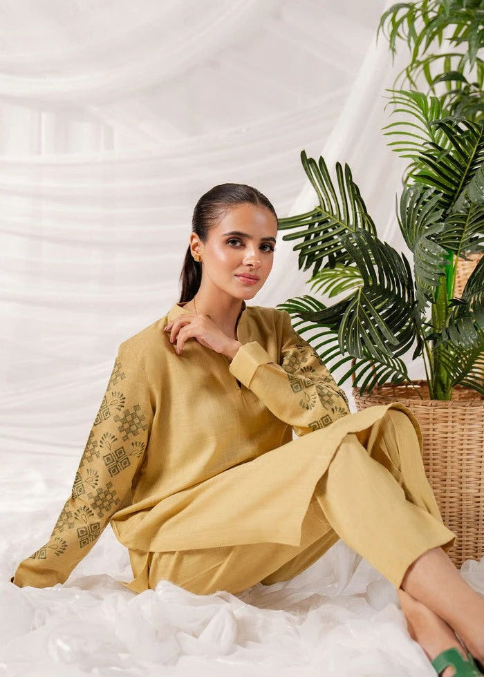 Vedat - 2Pc Embroidered Khaddar